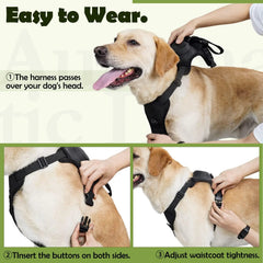 dog collar harness combo