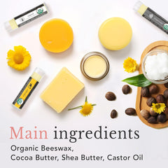Organic Lip Balm Set - 12 Pack for Lip Healing and Repair