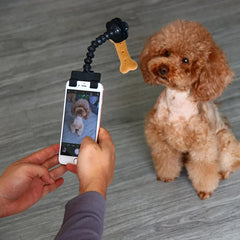 Pet Photography Tool Cat Dog And Dog Viewing Lens Teddy Camera