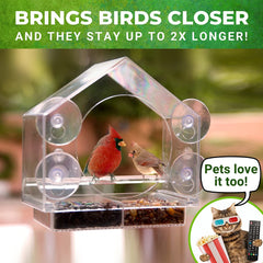 Pet bird feeder; Nature Anywhere Clear Plastic Window Bird Feeder for Outside - Clear Window Bird Feeders with Strong Suction Cups