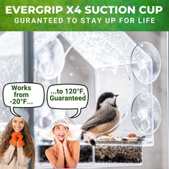 Pet bird feeder; Nature Anywhere Clear Plastic Window Bird Feeder for Outside - Clear Window Bird Feeders with Strong Suction Cups