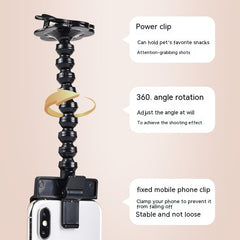 Pet Photography Tool Cat Dog And Dog Viewing Lens Teddy Camera