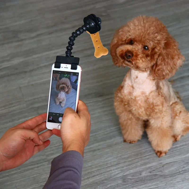 Pet Photography Tool Cat Dog And Dog Viewing Lens Teddy Camera